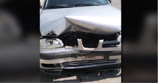 Accident inedit pe Autostrada Soarelui. Au intrat cu maşina în mistreţi (Video)