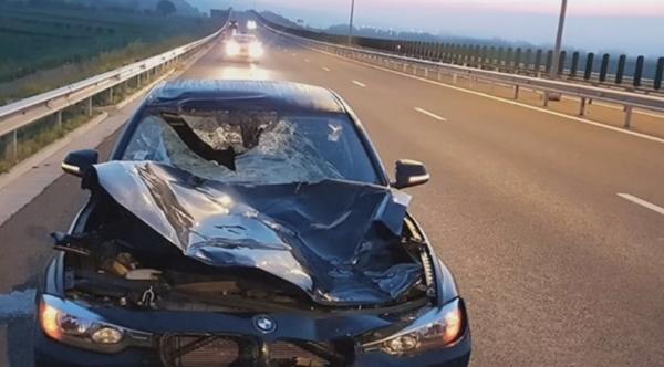 Explicația drumarilor după ce o mașină a lovit un cerb pe Autostrada Aiud-Turda