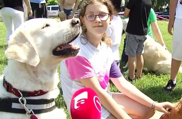 Expoziţia celor mai frumoşi câini din lume, la Bucureşti (Video)