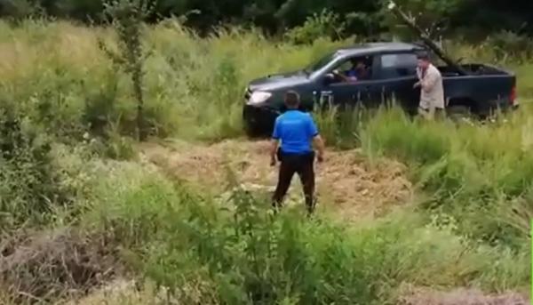Jandarmii montani din Braşov au ajutat la salvarea unui pui de urs căzut într-un canal colector