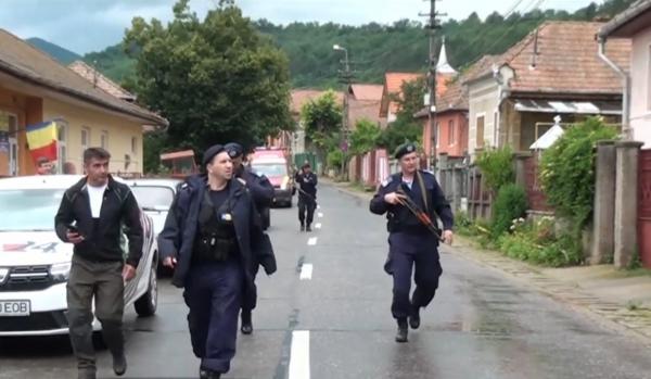 Ursul care a provocat panică în Alba Iulia, de negăsit, în ciuda mobilizării jandarmilor și vânătorilor
