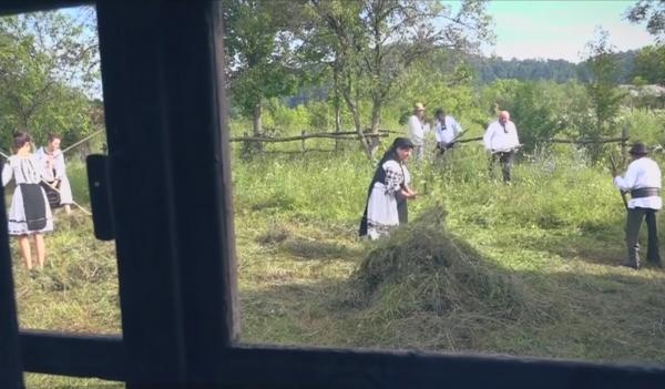 Tradiția străveche a cositului, păstrată în satul Ribița din Hunedoara