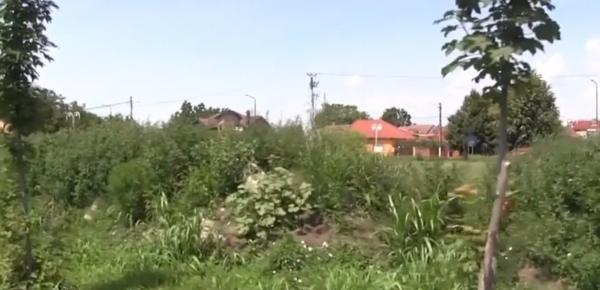 Centrele de agrement, o ruină din cauza delăsării autorităţilor (Video)