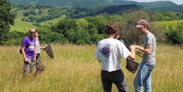 Natura, animalele şi oamenii din Transilvania atrag sute de studenţi din toată lumea