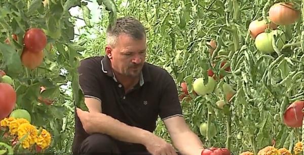 Un preot din Mureş și-a transformat pasiunea pentru agricultură într-o afacere de succes