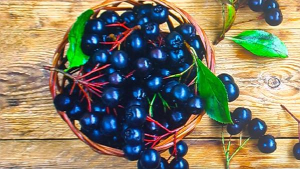 Aronia, fructul care ține doctorul departe