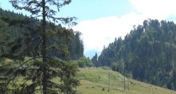 Pasul Tihuţa, ideal pentru o vacanță în mijlocul naturii