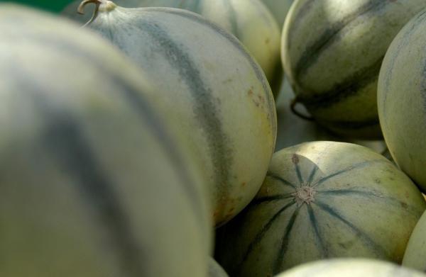 Vânzătorul din Brăila care injecta pepeni, căutat de polițiști