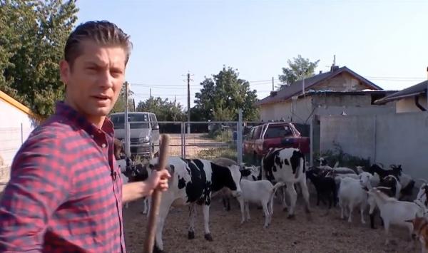 Valentin Butnaru, în postura de fermier pentru o zi