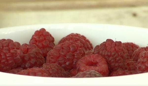 Rețete de smoothie-uri, pentru zile de energie. Cum se prepară