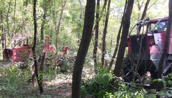 Doi copii din Bârlad au fost grav răniţi din cauza unor muncitori care toaletau copacii