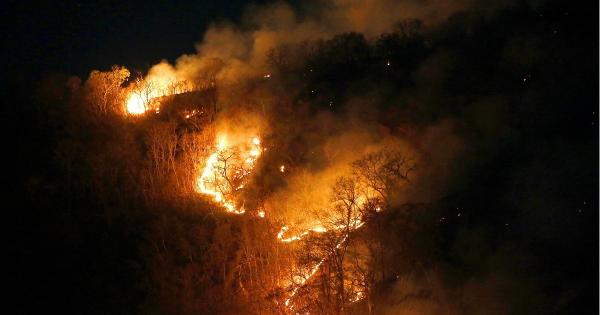 Preşedintele Braziliei, scenariu tulburător despre incendiile din pădurea amazoniană