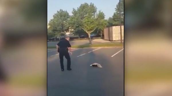 Poliţist "pedepsit" de un sconcs, după ce l-a ajutat să iasă dintr-un borcan de plastic (Video)