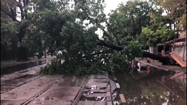 Imagini dramatice după furtuna din București. Copaci rupți și străzi inundate (Video)