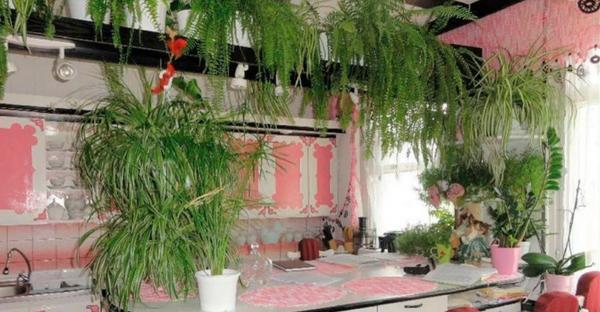 Design-ul care întrece orice imaginație. Bucătăria și baia, în același loc