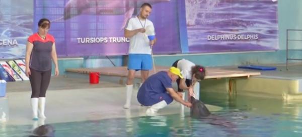 Delfinariul din Constanţa îşi aşteaptă vizitatorii cu braţele deschise