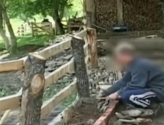 Caz de sclavagism, cu zeci de adolescenți germani în Maramureș