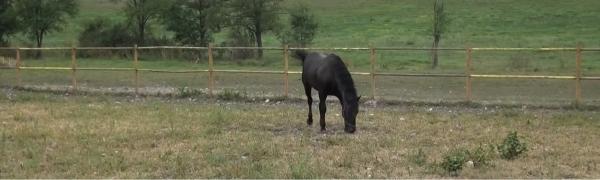 Herghelia, locul ideal pentru petrecerea timpului liber