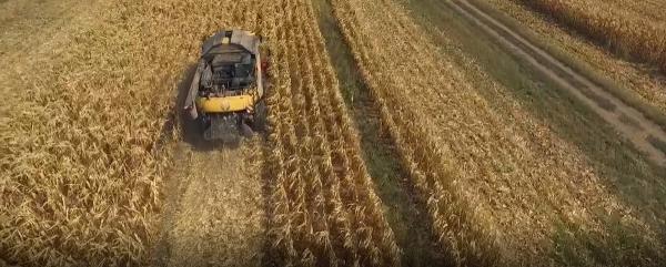 Fermierii care au mizat pe tehnologie scot producţii record, chiar și în plină secetă