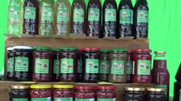 Festival cu produse bio în orașul Odorheiu Secuiesc (Video)