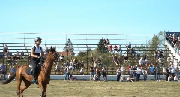 În localitatea Ardud din Satu Mare, oamenii sărbătoresc Ziua Calului