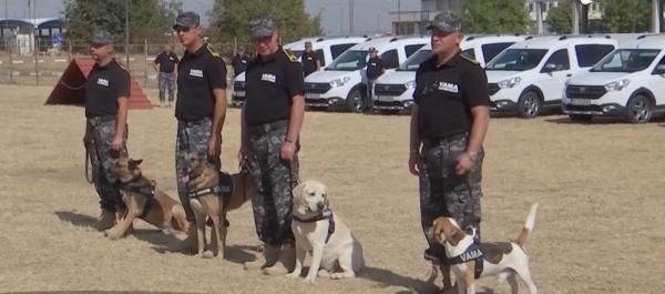 Autorităţile combat contrabanda cu tutun cu câini dresaţi