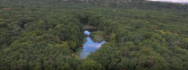 Lacul lui Eminescu, aproape secat şi sufocat de buruieni şi gunoaie