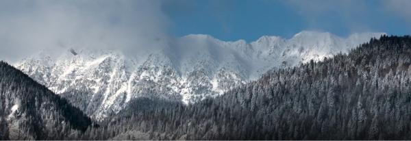 România sălbatică, mai frumoasă ca niciodată în noul documentar Wild Carpathia