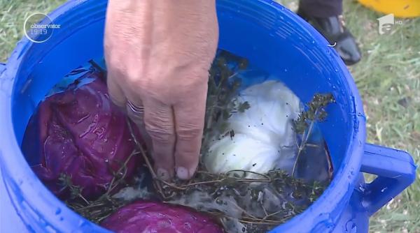 Apa sărată de izvor, secretul murăturilor din Orșova