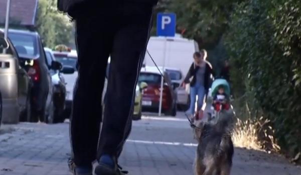 Tânără atacată de un pitbull agresiv în timp ce îşi plimba propriul câine, în Alba Iulia