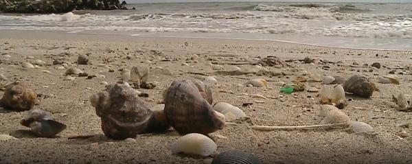 Delta Dunării, locul perfect pentru o vacanță de vis toamna