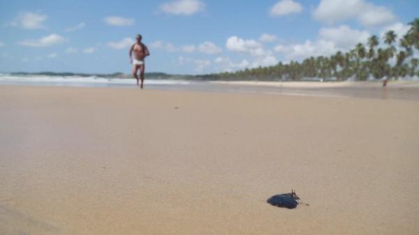 Pete de petrol misterioase au apărut pe plajele faimoase ale Braziliei
