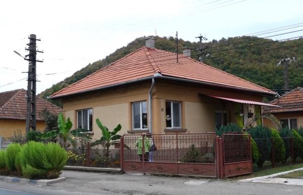 Bananieri şi smochini în Munţii Apuseni. Cum au fost cultivate plantele exotice