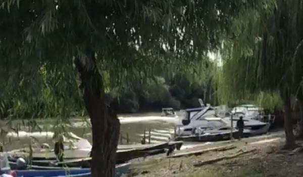 Accident înfiorător în Delta Dunării.  Un turist a căzut din barcă şi a fost prins în elicea ambarcaţiunii