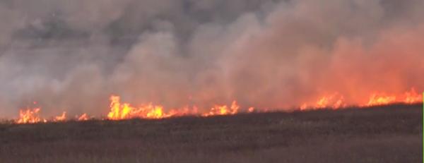 Puternic incendiu de vegetaţie în Mehedinţi. Pompierii s-au luptat ore întregi cu focul