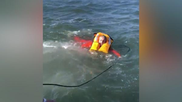 Marinar român căzut de pe navă în Golful San Francisco, salvat de pescari (Video)