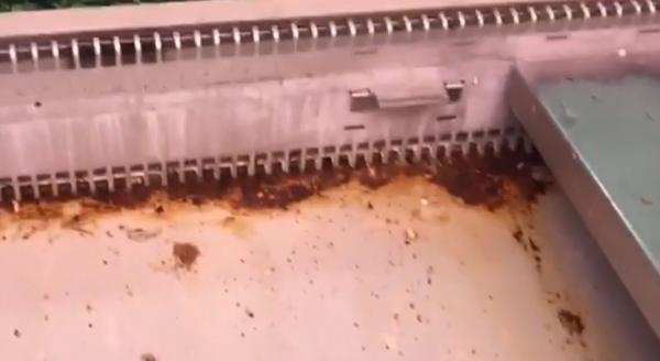 Mâncare printre gunoaie și rugină, într-o piaţă celebră din Capitală (Video)