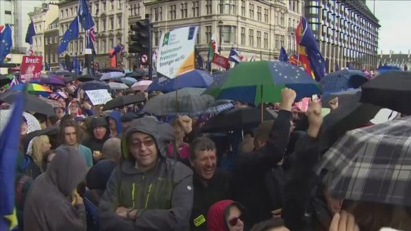 Amânarea votului pe acordul pentru Brexit, celebrată în stradă la Londra