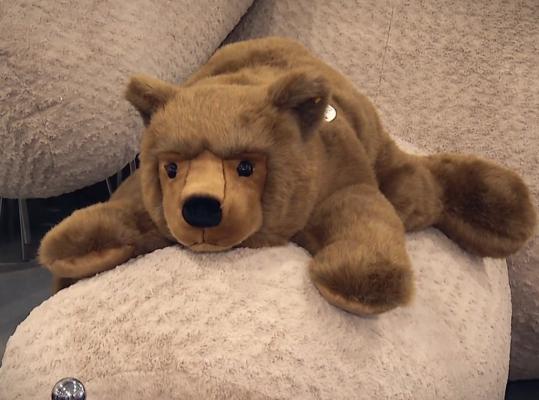 Jucăriile organice fac furori pe piață. Acestea stimulează mobilitatea copiilor