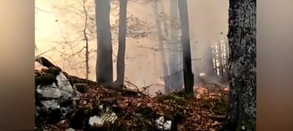 Pompierii se luptă de cinci zile cu un incendiu produs în Rezervaţia Naturală Muntele Vulcan