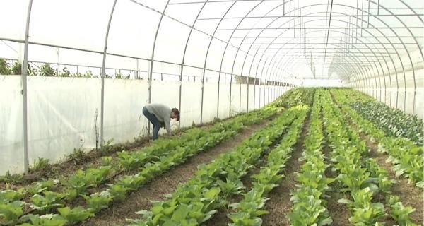 Tot mai mulţi tineri îşi doresc să devină fermieri