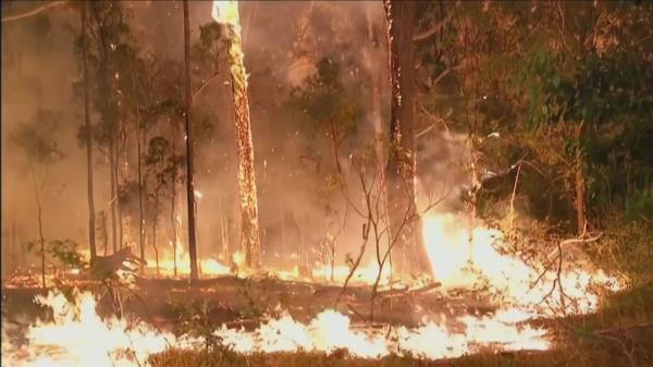 Incendiile de vegetație din Australia s-au soldat cu 3 morți și distrugeri uriașe