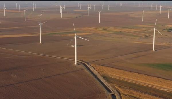 Agricutorii din sudul ţării s-au specializat în plantarea de eoliene