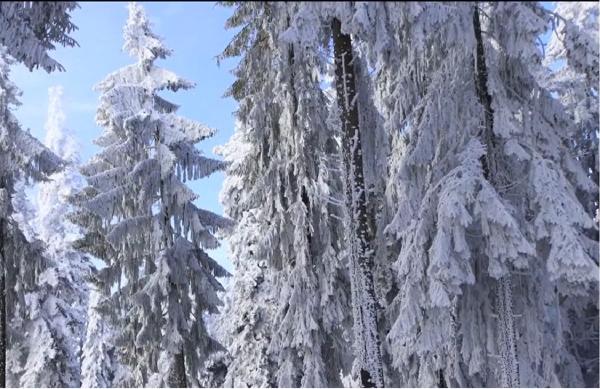 Chiciura a creat un peisaj splendid în Gura Humorului. Pozele au devenit virale