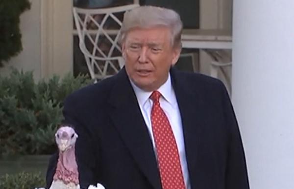 Curcani grațiați de președintele Donald Trump, în ajunul Zilei Recunoştinţei