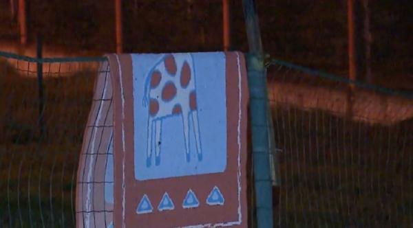 Copil de zece ani, dispărut de la orfelinatul din Mureş