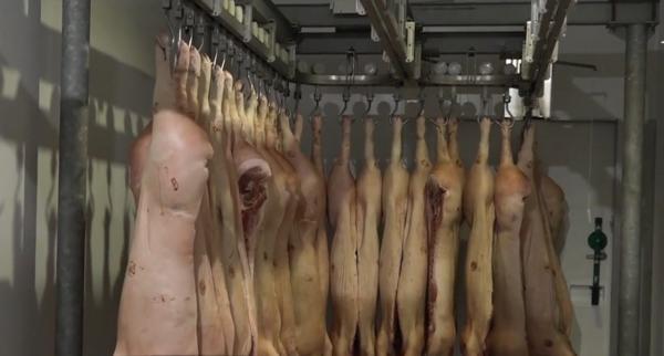 Masa de Crăciun, mai scumpă din cauza pestei porcine