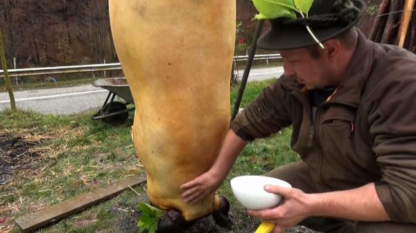 Obiceiuri de lgnat, ziua tăierii porcului de Crăciun