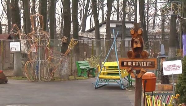 Porcii vietnamezi și mistreți de la grădina Zoologică din Brăila au fost sacrificați