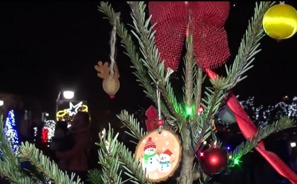 Parada Brăduţilor pentru Vise Împlinite, succes la Bistriţa